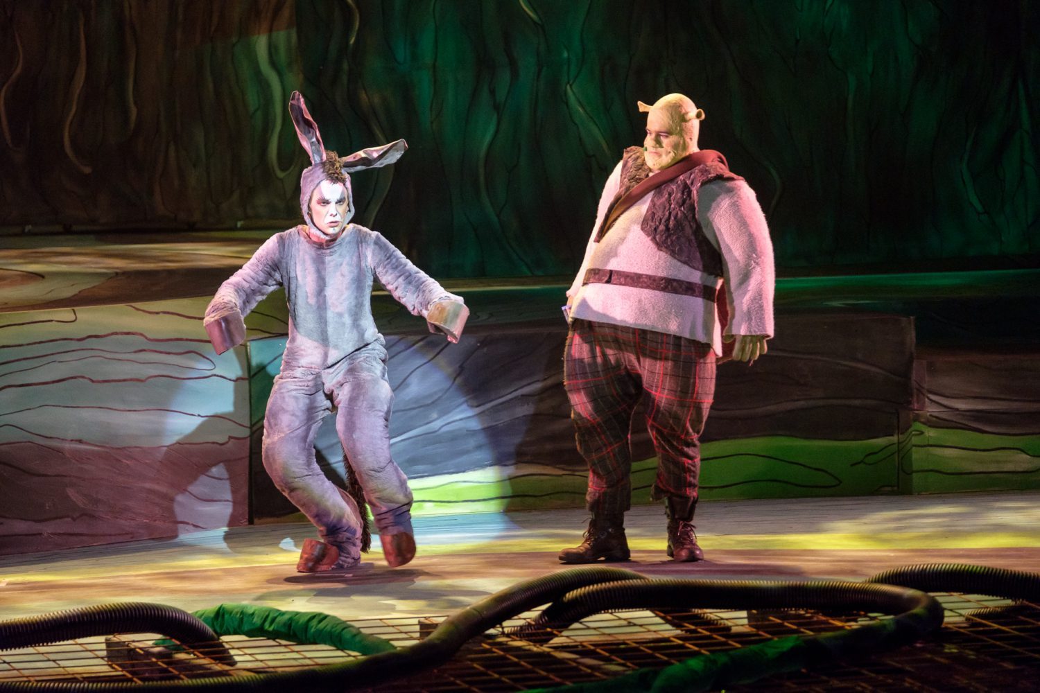 Shrek - Bilde 3