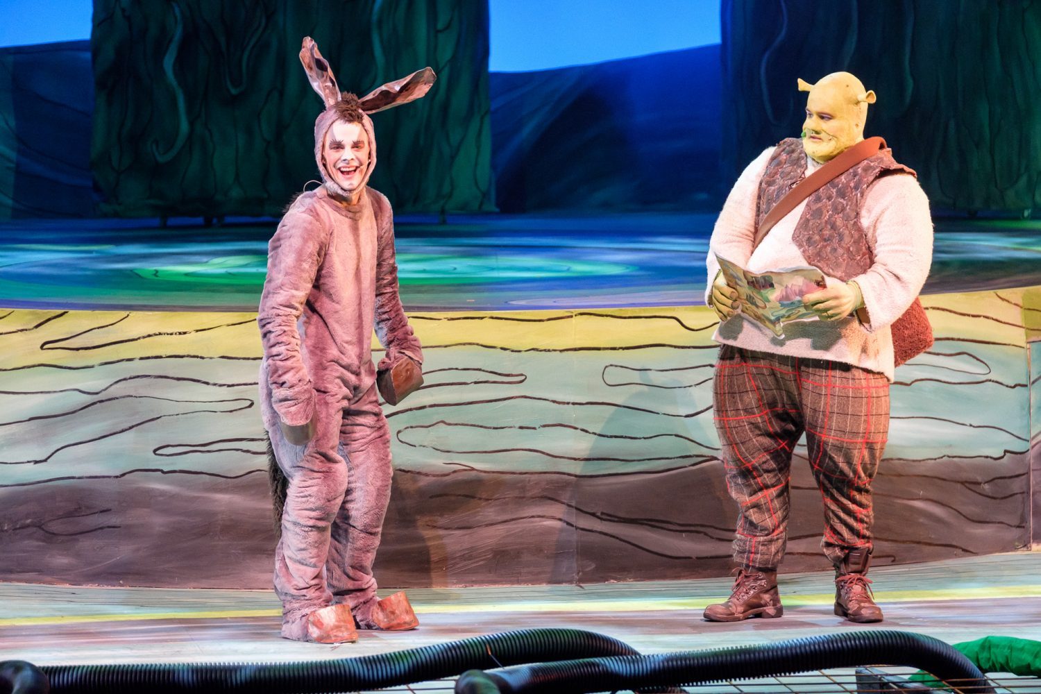 Shrek - Bilde 2