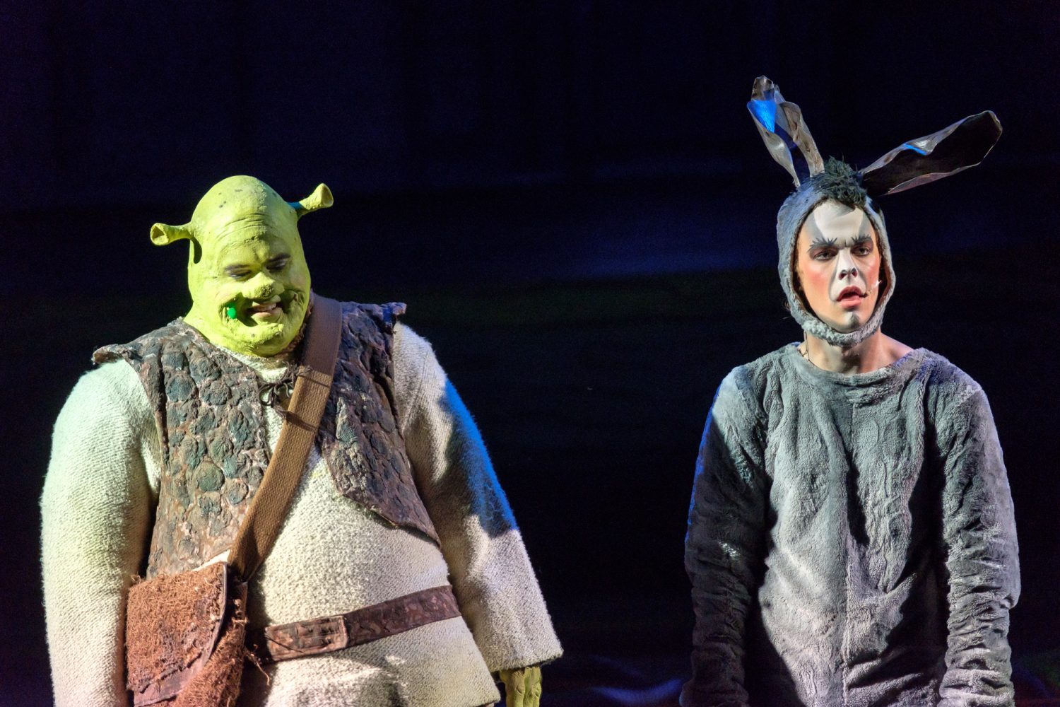 Shrek - Bilde 4